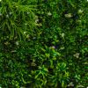 White Oasis Green Vertical Wall
