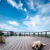 Teak Co-Ex WPC Decking - Image 4