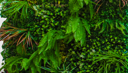 Coastal Green Vertical Wall