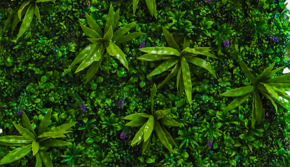 Green Tropical Vertical Wall