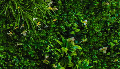 White Oasis Green Vertical Wall