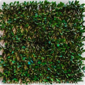 zh94-main-product