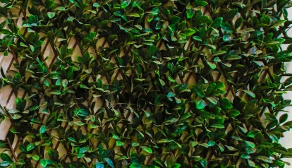 zh94-small-image
